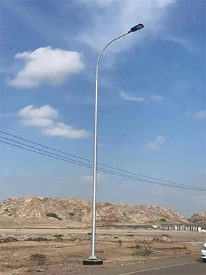 Light Pole Project Cases
